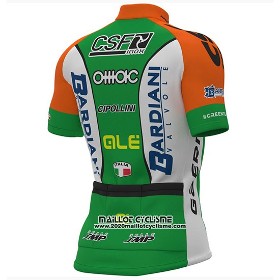 2018 Maillot Ciclismo Bardiani CSF Vert et Blanc Manches Courtes et Cuissard